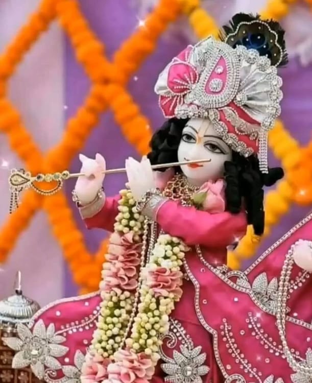 hari darushana-kAgi nAradaru baralu