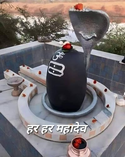 shiva darushana namagAyitu