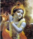 Aru badukidarayya hari ninna nambi